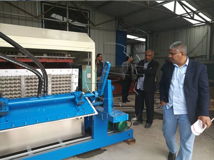 egg tray making machine price in Pakistan