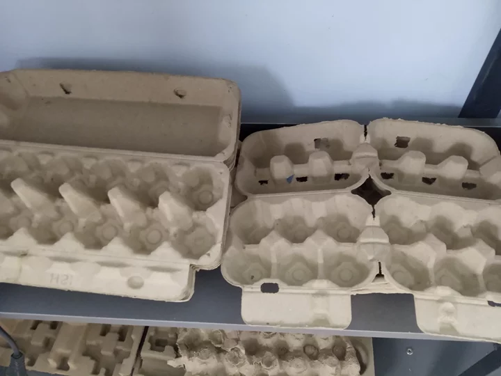 Diferentes tamaños de cajas de huevos de papel.