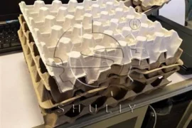 انڈے کی ٹرے بنانا