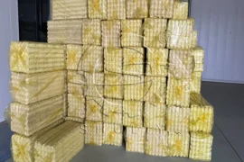 khay trứng đóng gói