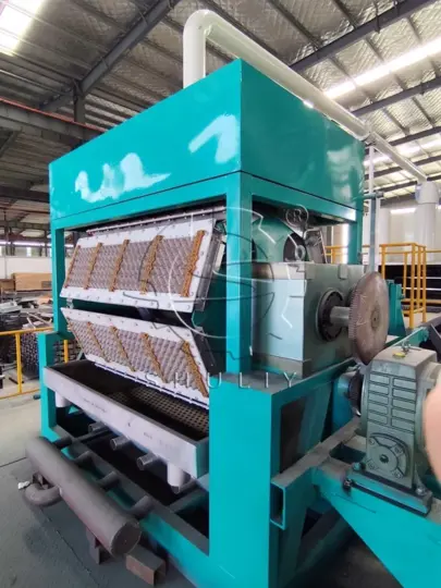 Fruit tray making machine for sale