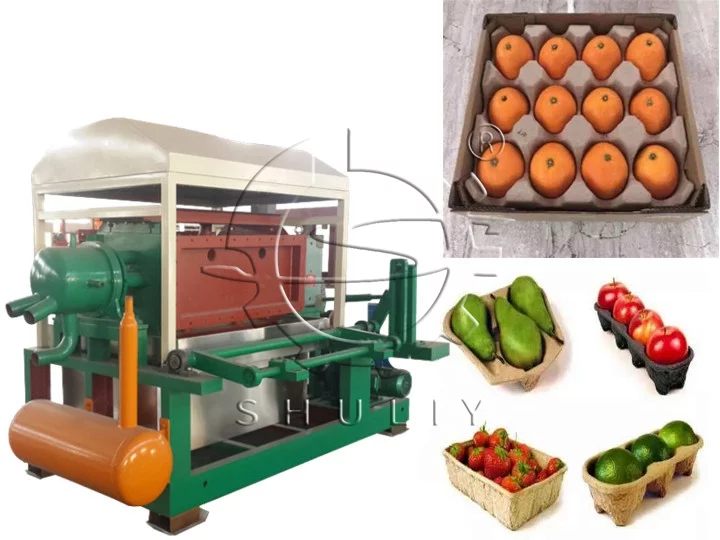 ফল ট্রে তৈরির যন্ত্র