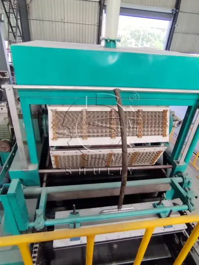 industrial Fruit tray making machine
