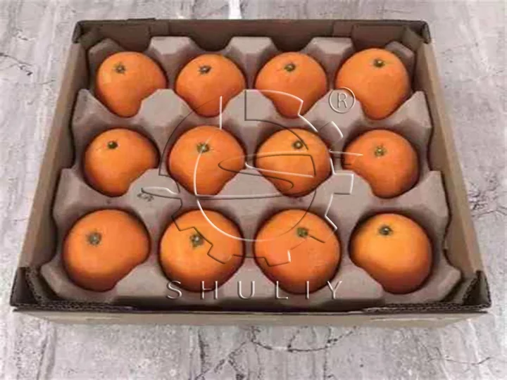 orange tray