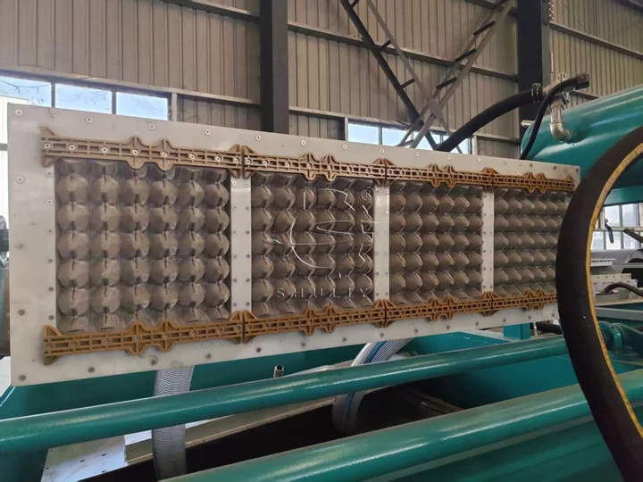 Egg Tray Molding Machine molds