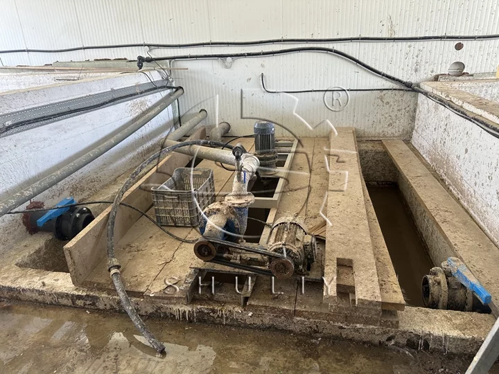 egg tray machine factory