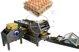 Egg packing machine