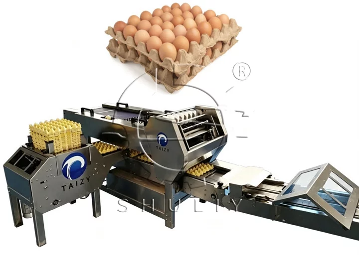 Egg packing machine