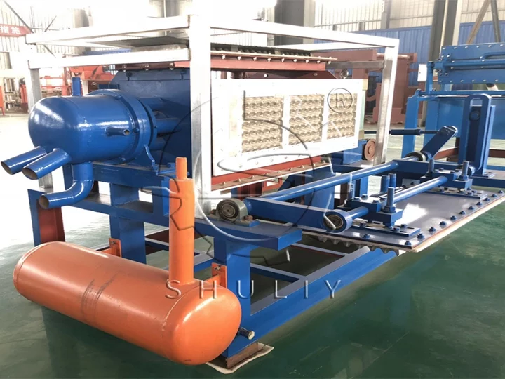 Fully automatic pulp wine tray maker for business
