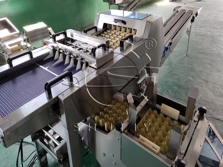 automatic egg loading and packing machine