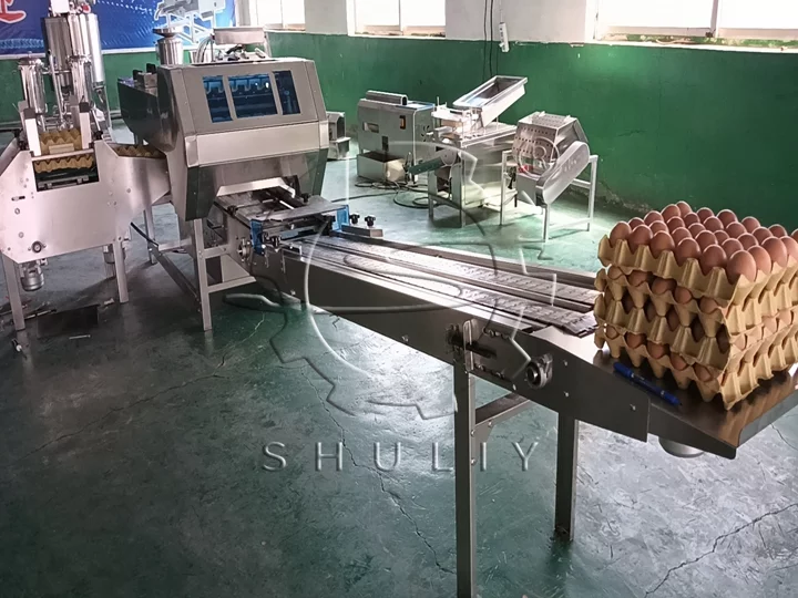 buy egg packing machine