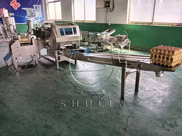 egg packing machine cost