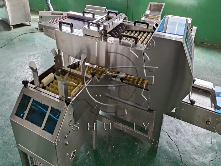 egg packing machine for poultry farm
