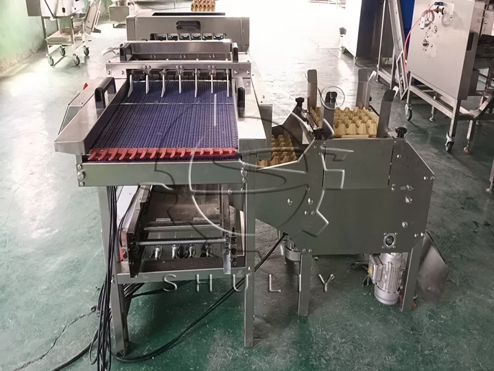 egg packing machine quotation