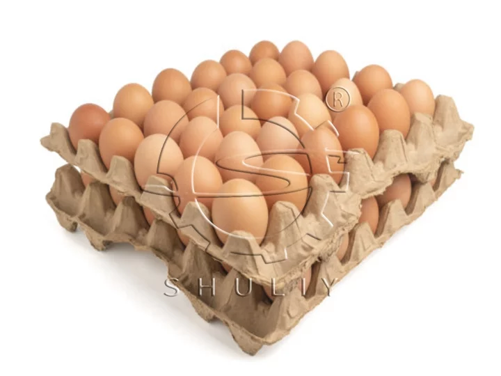œuf