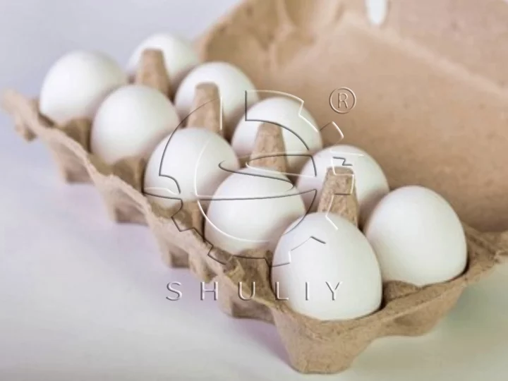 eggs