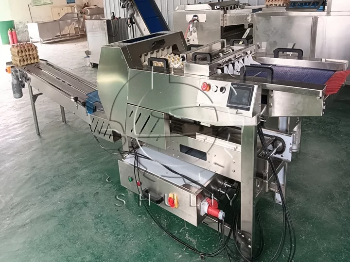 fully automatic egg packing machine