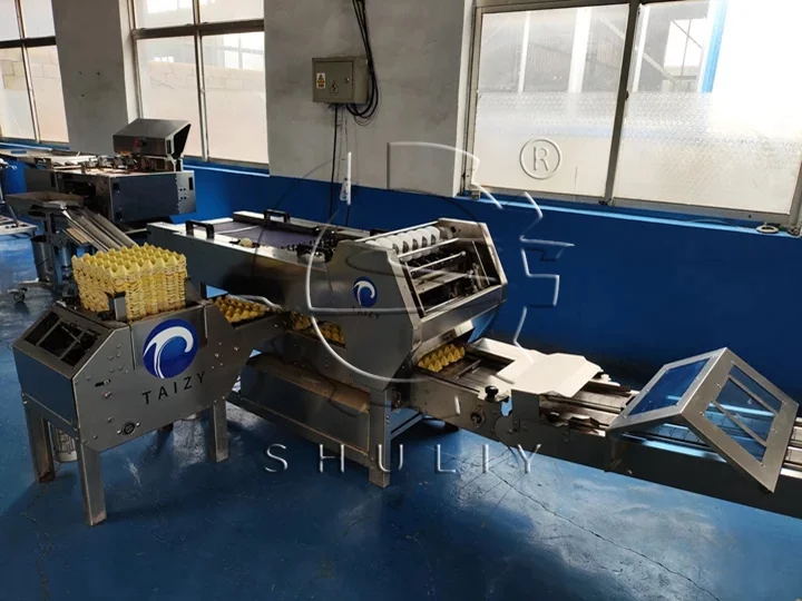 high speed egg packing machine