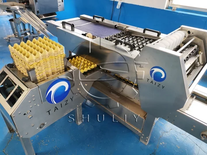industrial automatic egg packing system