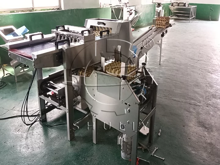 industrial egg packing machine for sale