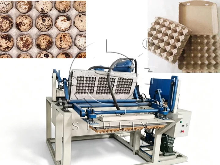 Automatic quail egg tray machine