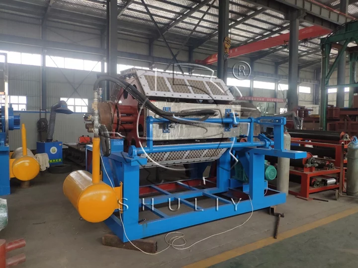 Egg Tray Manufacturing Machine for sale