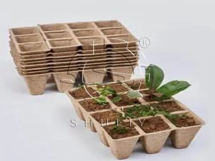 seed tray