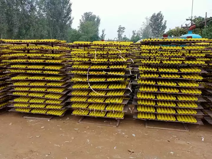 paper tray drying
